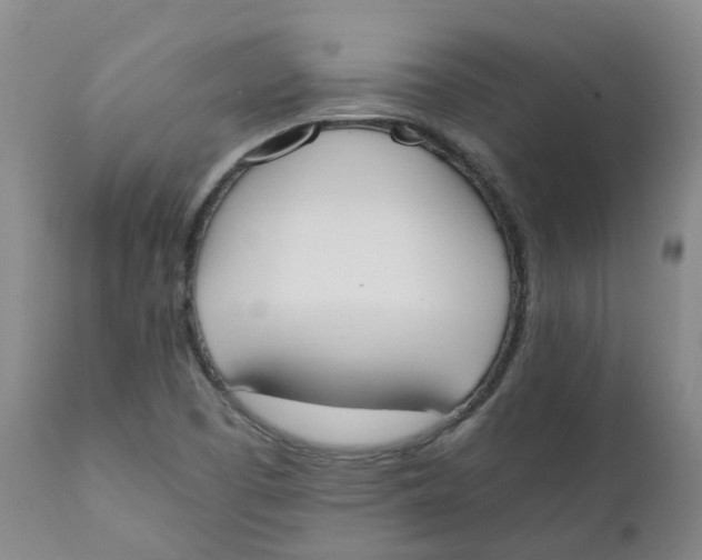 X0000111251457200907231541