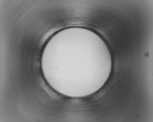 X0000111251458200907231541