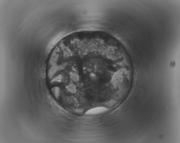 X0000111251459200907231541