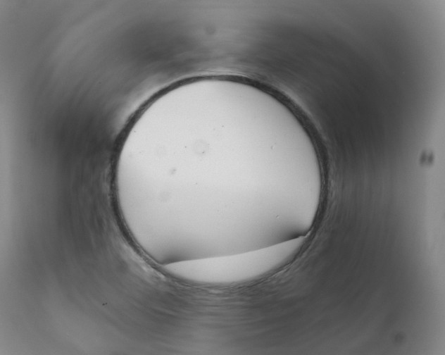 X0000111251460200907231541