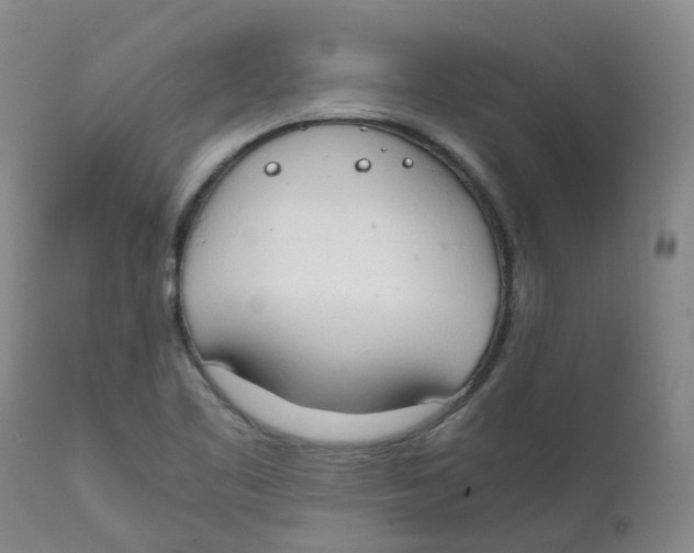 X0000111251461200907231541