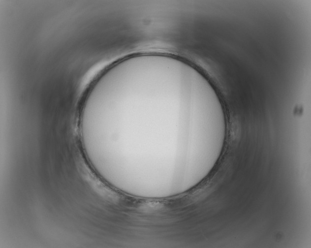 X0000111251462200907231541