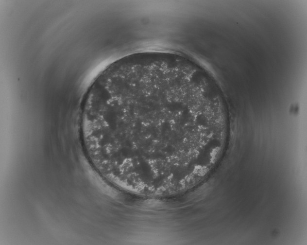 X0000111251463200907231541