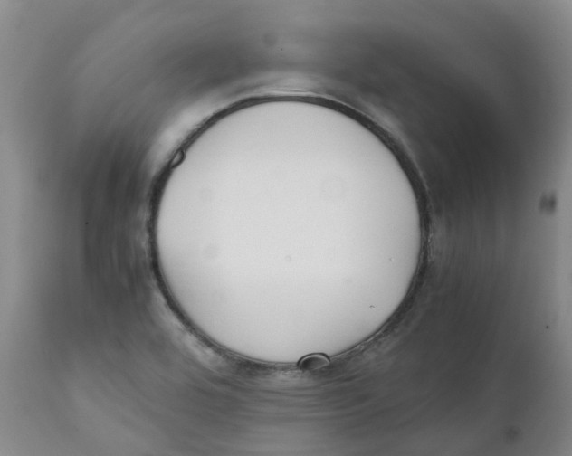 X0000111251464200907231541