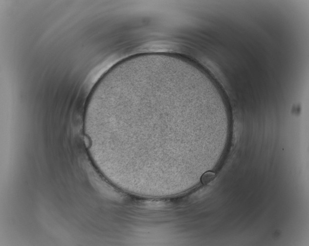 X0000111251465200907231541