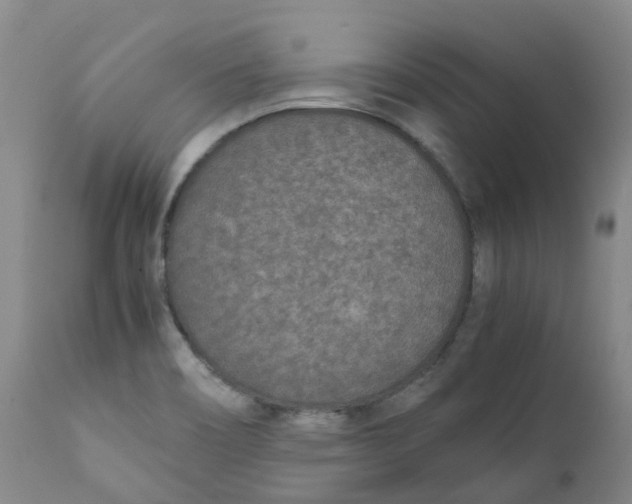 X0000111251466200907231541