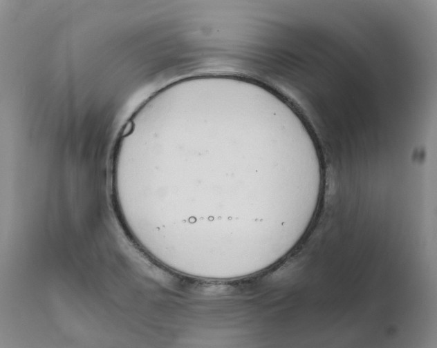 X0000111251467200907231541