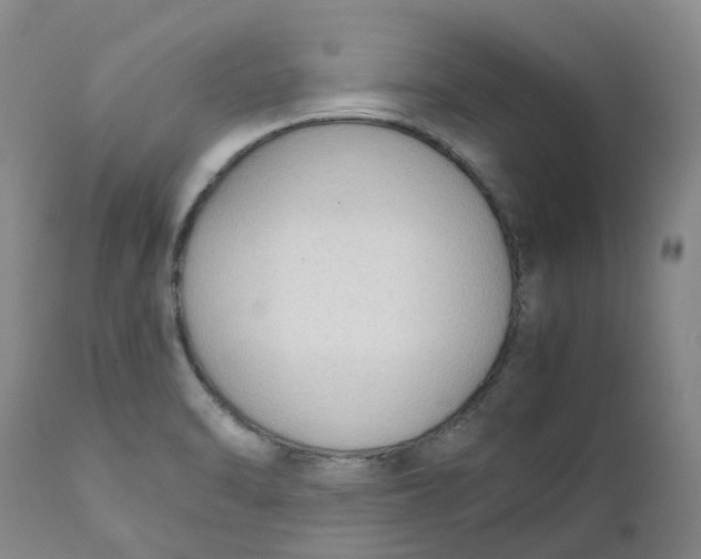 X0000111251470200907231541