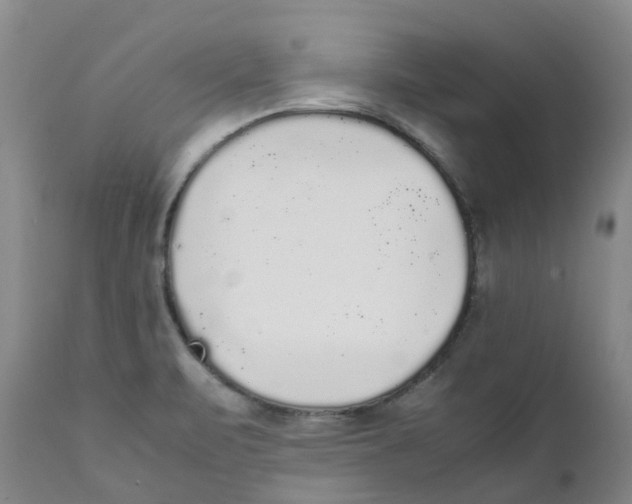 X0000111251471200907231541