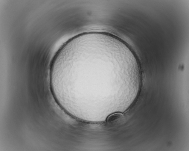 X0000111251472200907231541