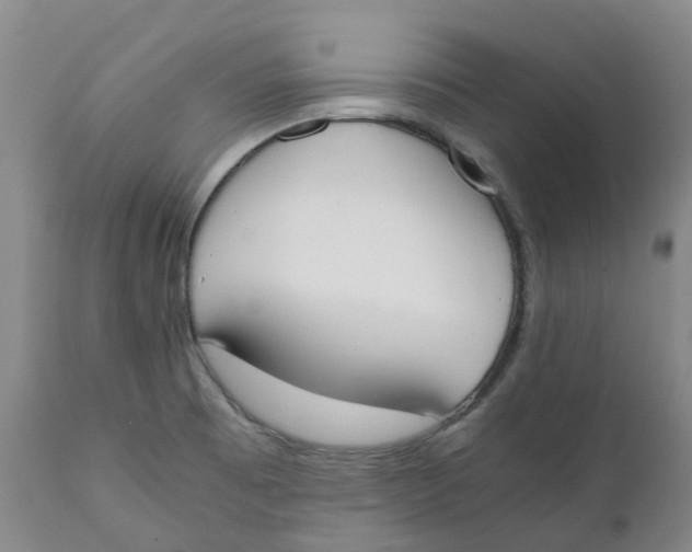 X0000111251473200907231541