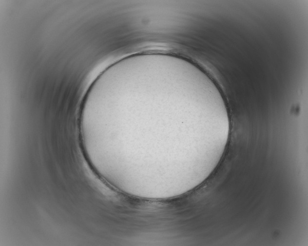 X0000111251475200907231541