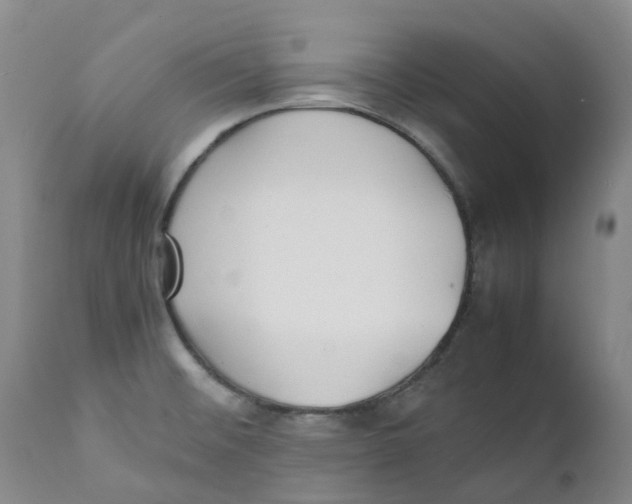 X0000111251476200907231541