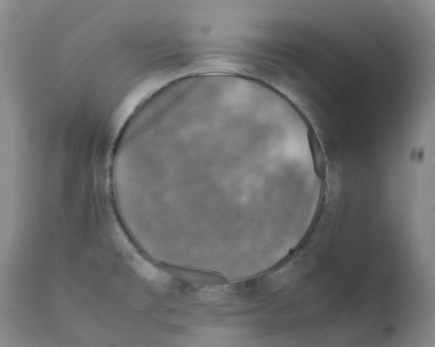 X0000111251477200907231541