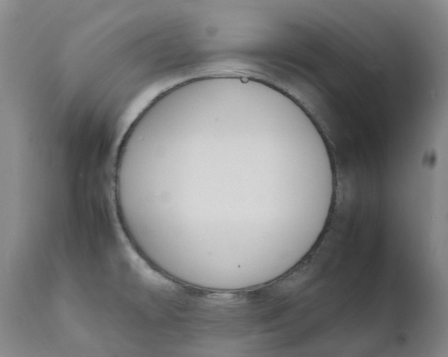 X0000111251478200907231541