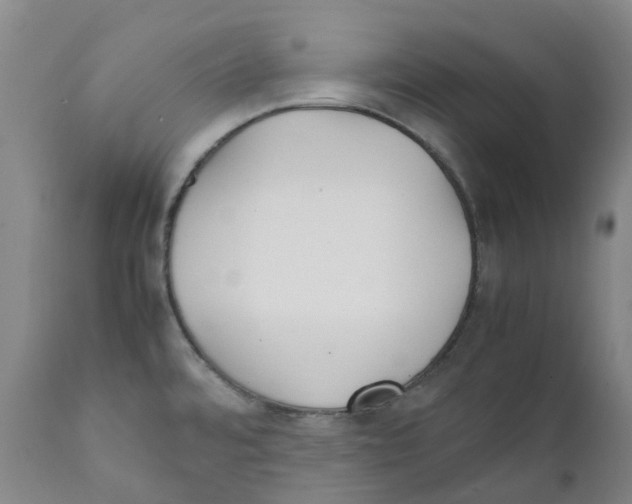 X0000111251480200907231541