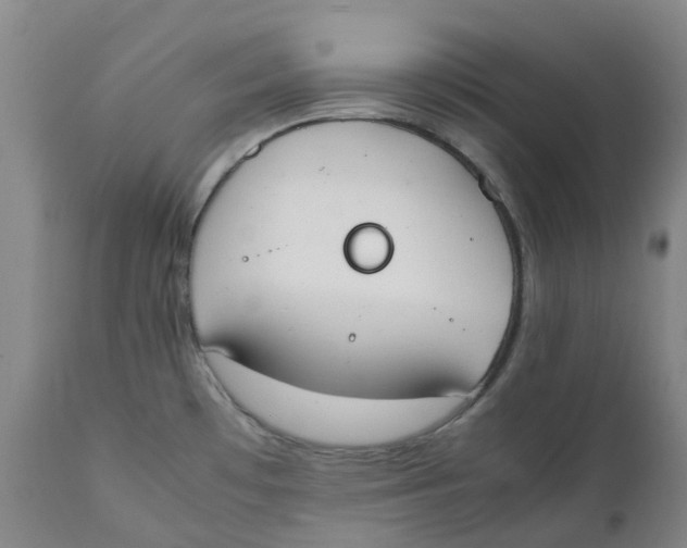 X0000111251481200907231541