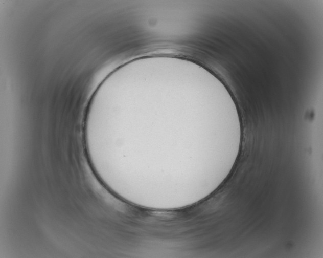 X0000111251483200907231541