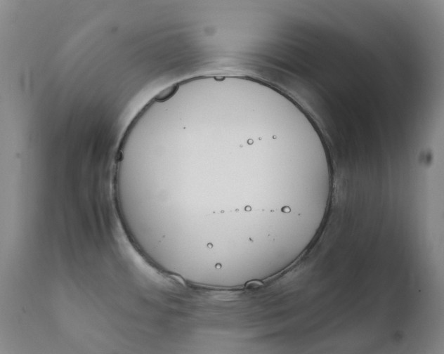 X0000111251484200907231541