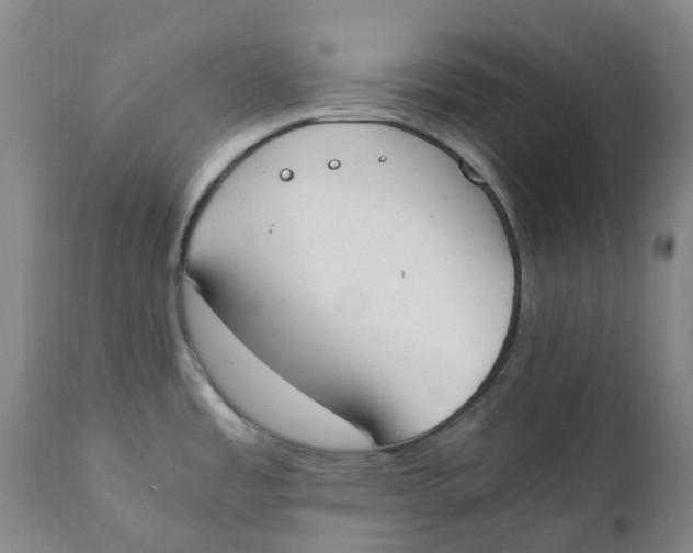 X0000111251485200907231541