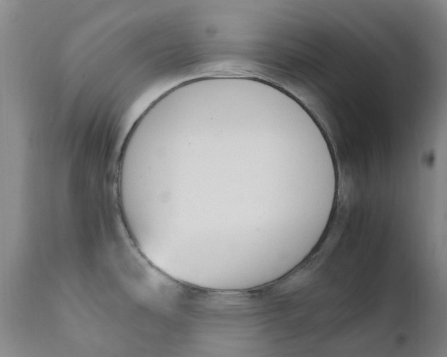 X0000111251486200907231541