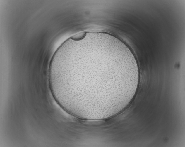 X0000111251487200907231541