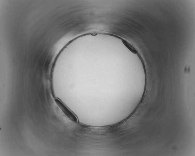 X0000111251488200907231541