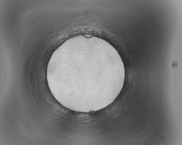 X0000111251489200907231540