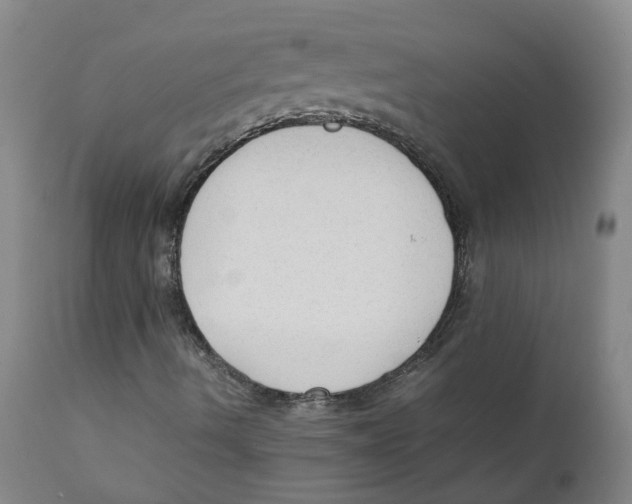 X0000111251490200907231540