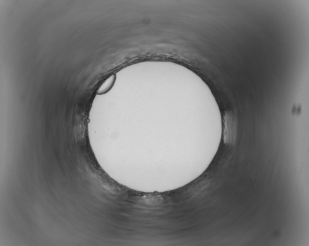 X0000111251491200907231540