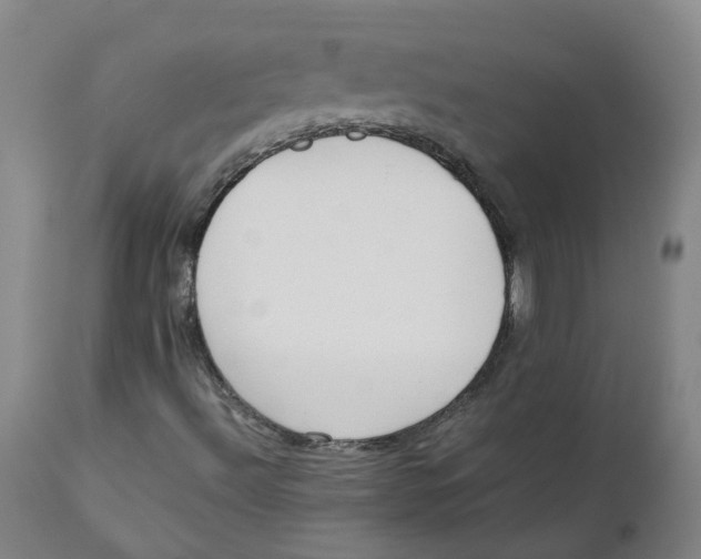 X0000111251492200907231540