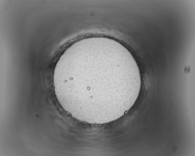 X0000111251494200907231540