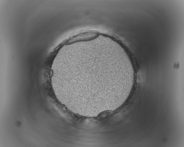 X0000111251496200907231540