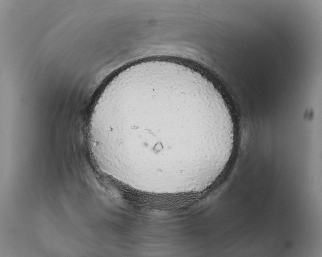 X0000111251497200907231540