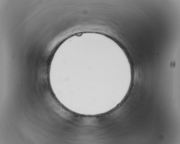 X0000111251498200907231540