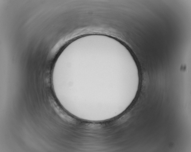 X0000111251499200907231540