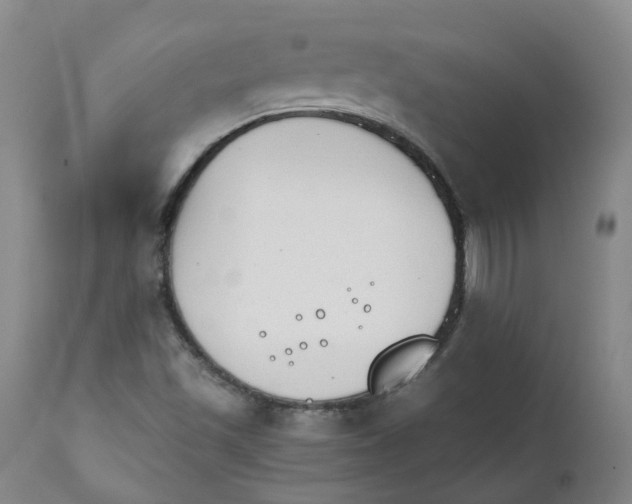 X0000111251501200907231540