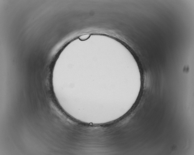 X0000111251502200907231540