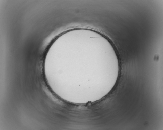 X0000111251503200907231540