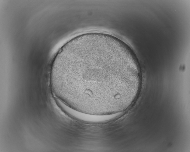 X0000111251504200907231540