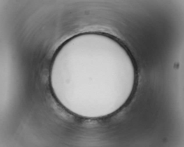 X0000111251505200907231540