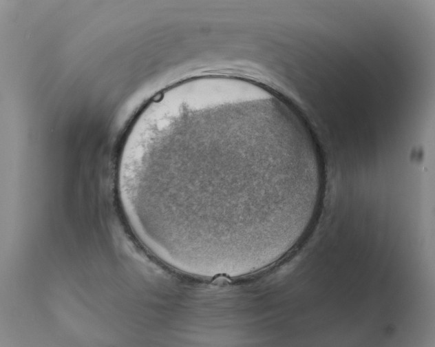 X0000111251506200907231540