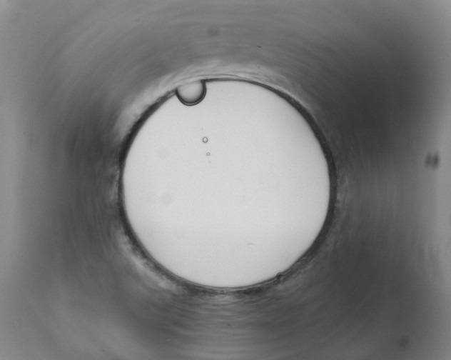 X0000111251507200907231540