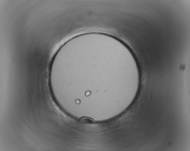 X0000111251508200907231540