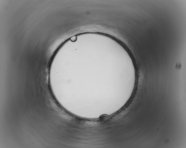 X0000111251509200907231540