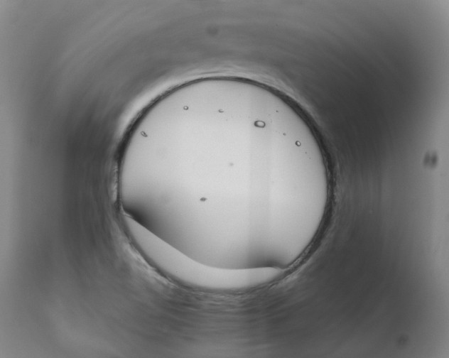 X0000111251510200907231540