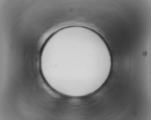 X0000111251511200907231540