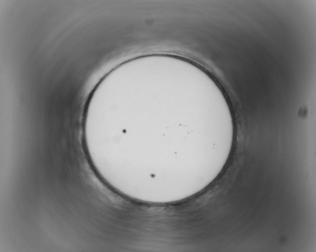 X0000111251512200907231540