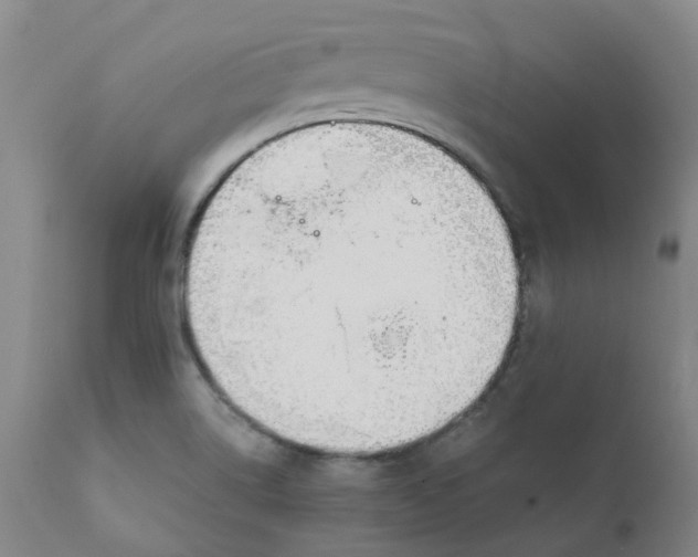 X0000111251514200907231540