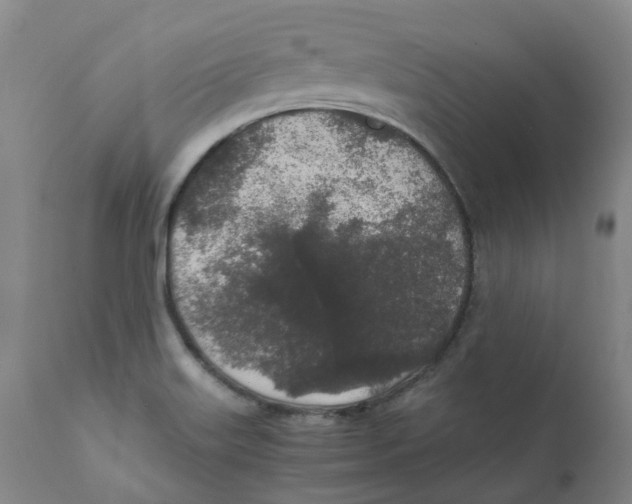 X0000111251515200907231540